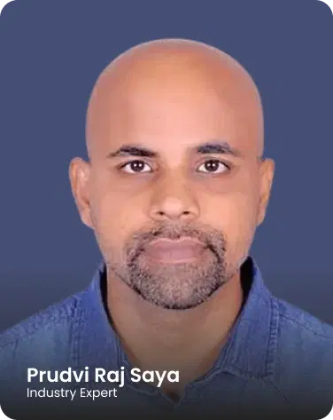Prudvi Raj Saya